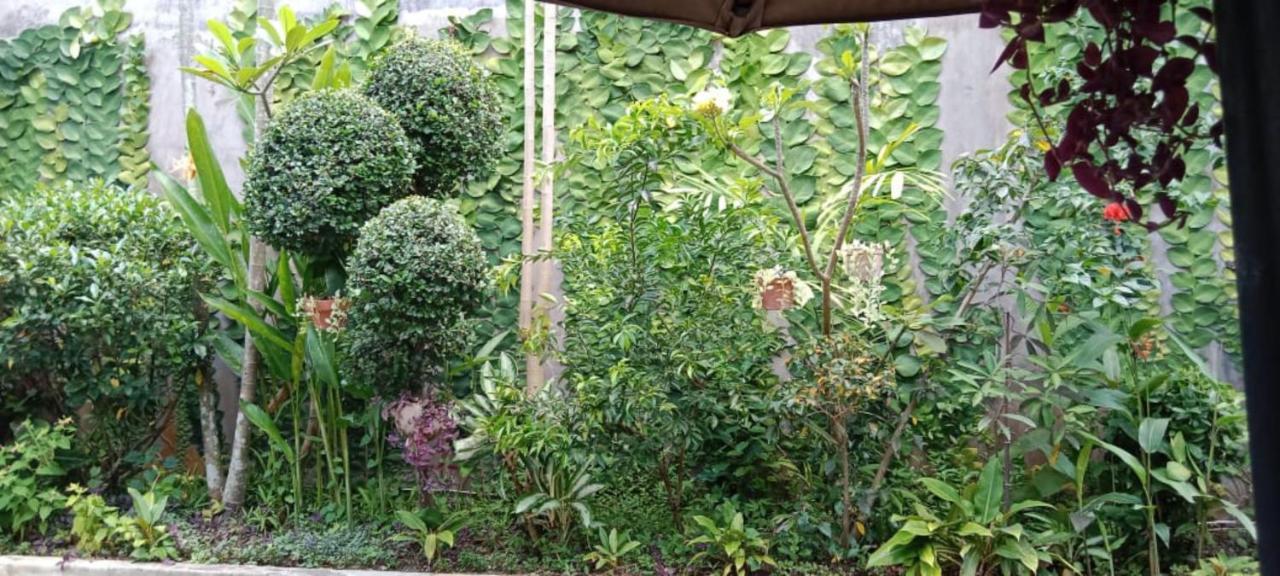 Coliving Bali Sweet Home Kost Lengkap Di Tabanan Kota Ngoại thất bức ảnh