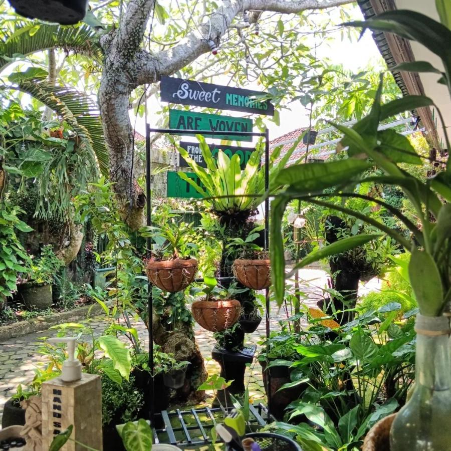 Coliving Bali Sweet Home Kost Lengkap Di Tabanan Kota Ngoại thất bức ảnh