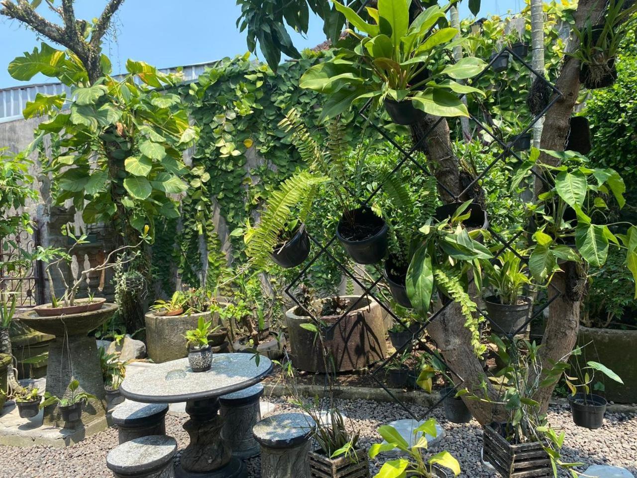Coliving Bali Sweet Home Kost Lengkap Di Tabanan Kota Ngoại thất bức ảnh